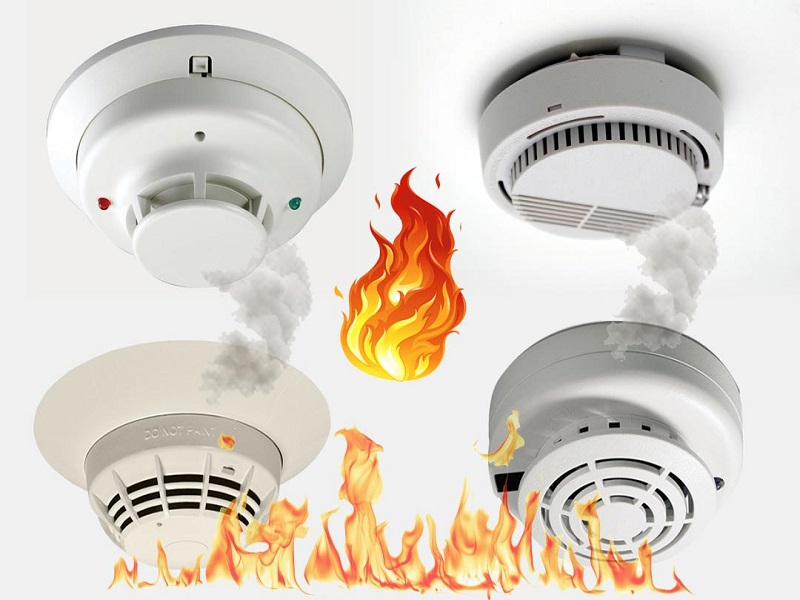 phan biet cac loai dau bao chay